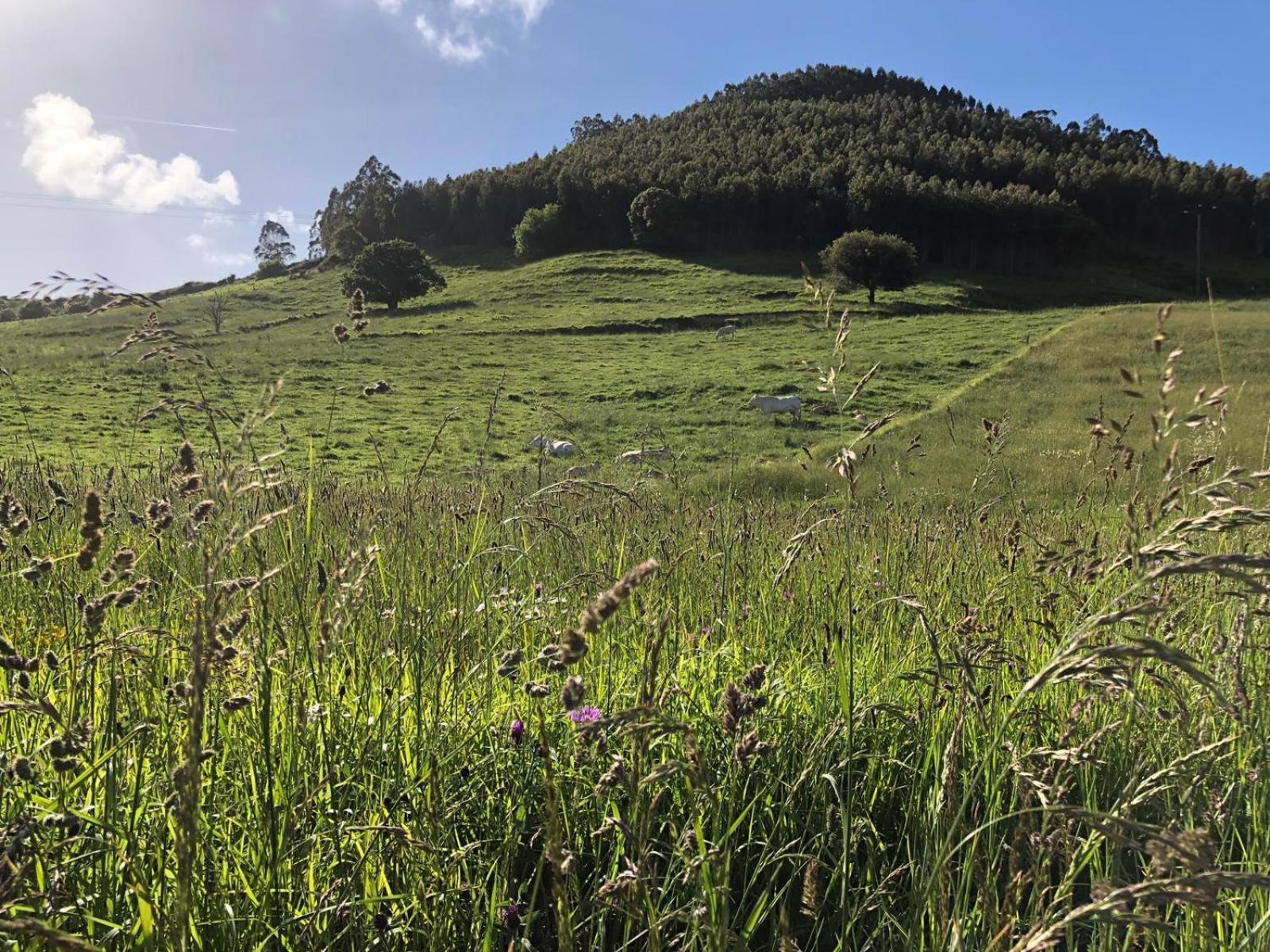 Posada Condado De La Mota Mogro Dış mekan fotoğraf